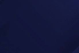 曼联签下葡超新星若昂·内维斯，转会费7000万